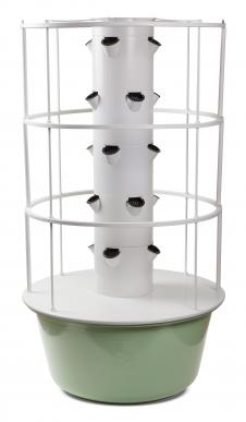Tower Garden tomato cage